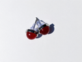 Boucles d'oreilles Cornaline